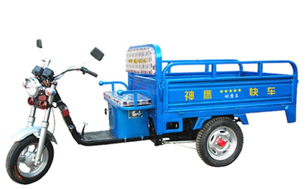 供应劲驰电动神鹰快车